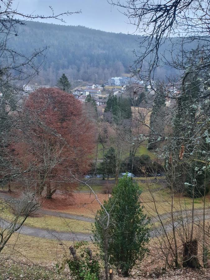 Ferienwohnung Nina Direkt In Zentrum Bad Wildbad Exterior foto